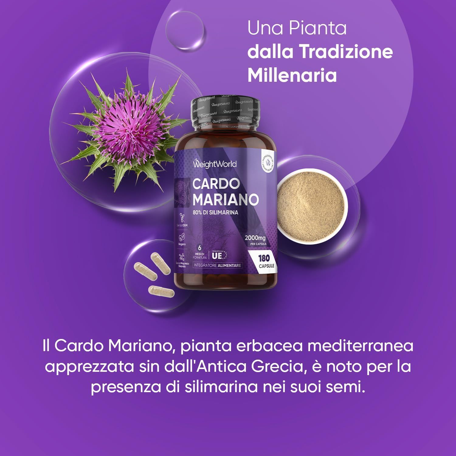 Immagine del prodotto con capsule di cardo mariano, fiori e polvere. Testo: Cardo Mariano, 80% silimarina, 2000mg, 180 capsule.