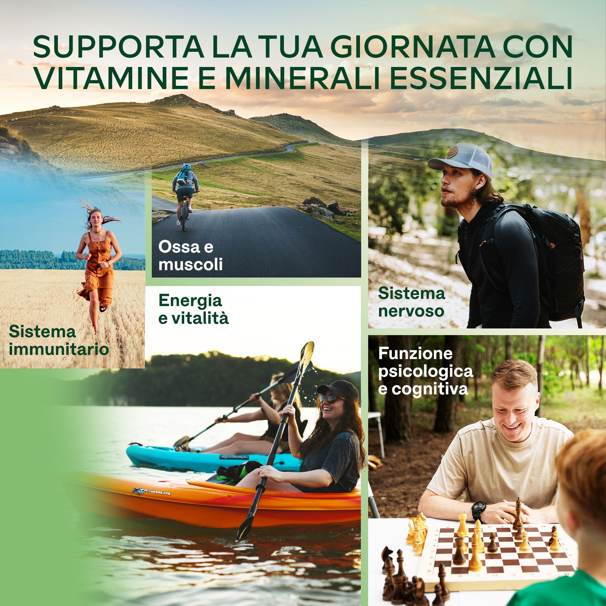 Diverse attività. Scritta: AAVALABS Multivitamin Complex. Vitamine e minerali.