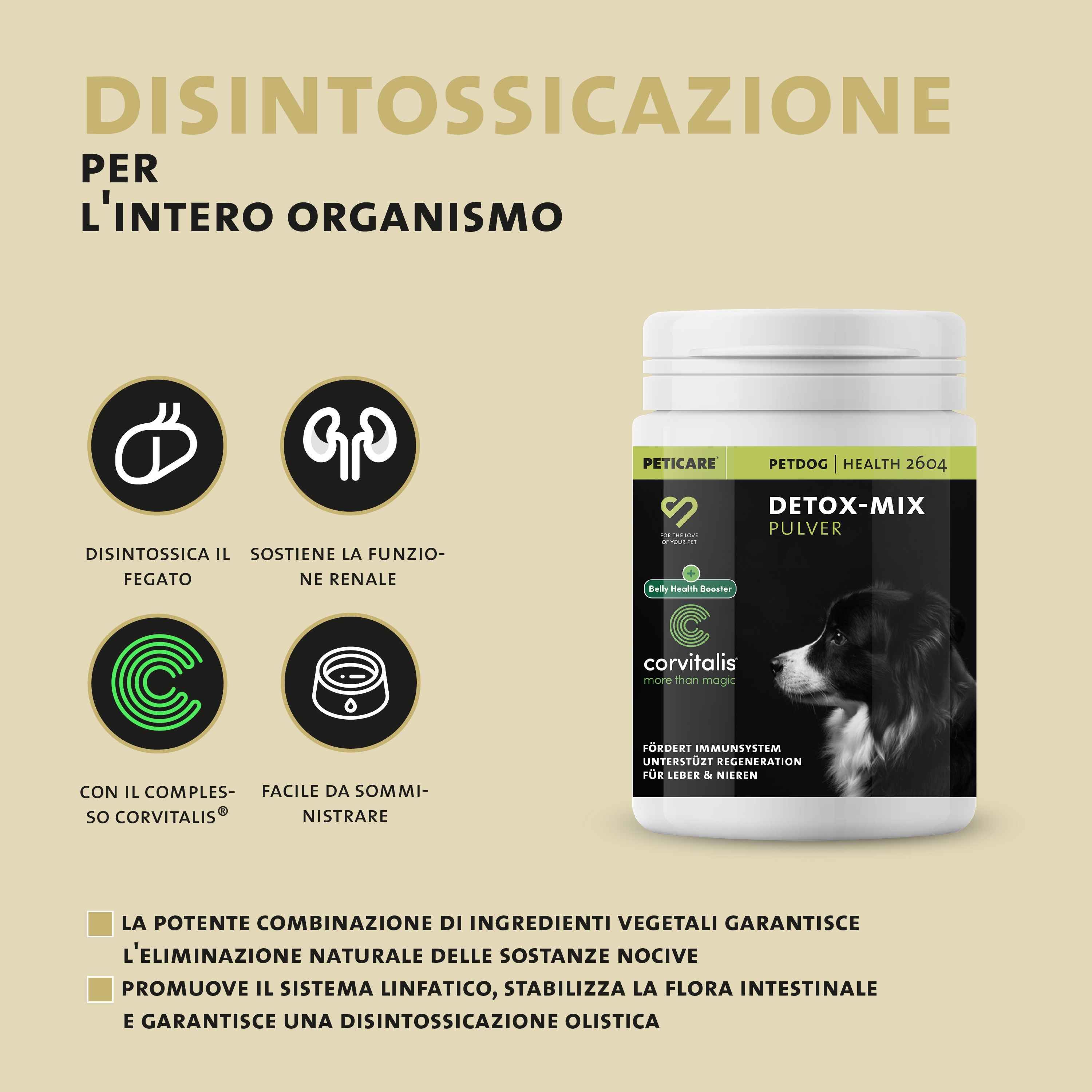Illustrazione dell'intestino tenue con villi, testo "Für eine stabile Darm-Barriere".