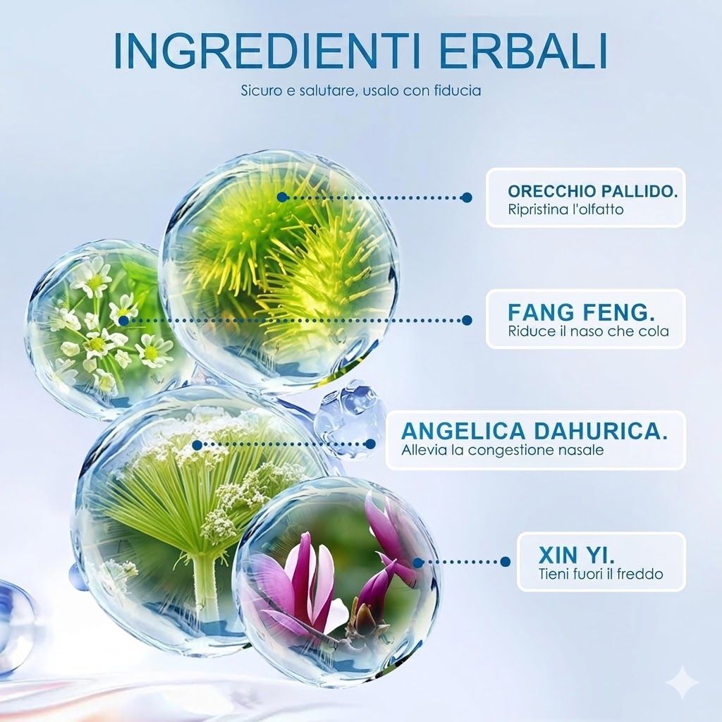 Grafico con ingredienti a base di erbe. Quattro ingredienti in sfere trasparenti. Etichetta: A Pale Ear, Fang Feng, Angelica Dahurica, Xin Yi.