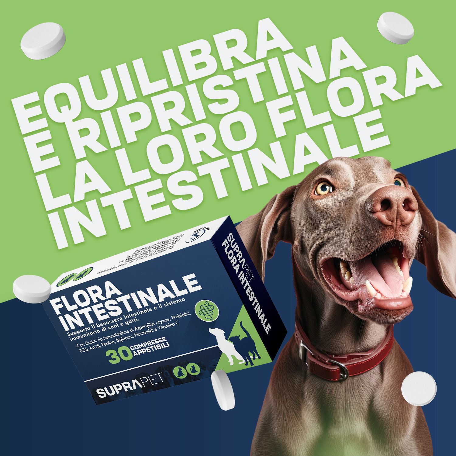 Confezione del prodotto con cane e compresse. Testo: 'Equilibra e ripristina la loro flora intestinale'.