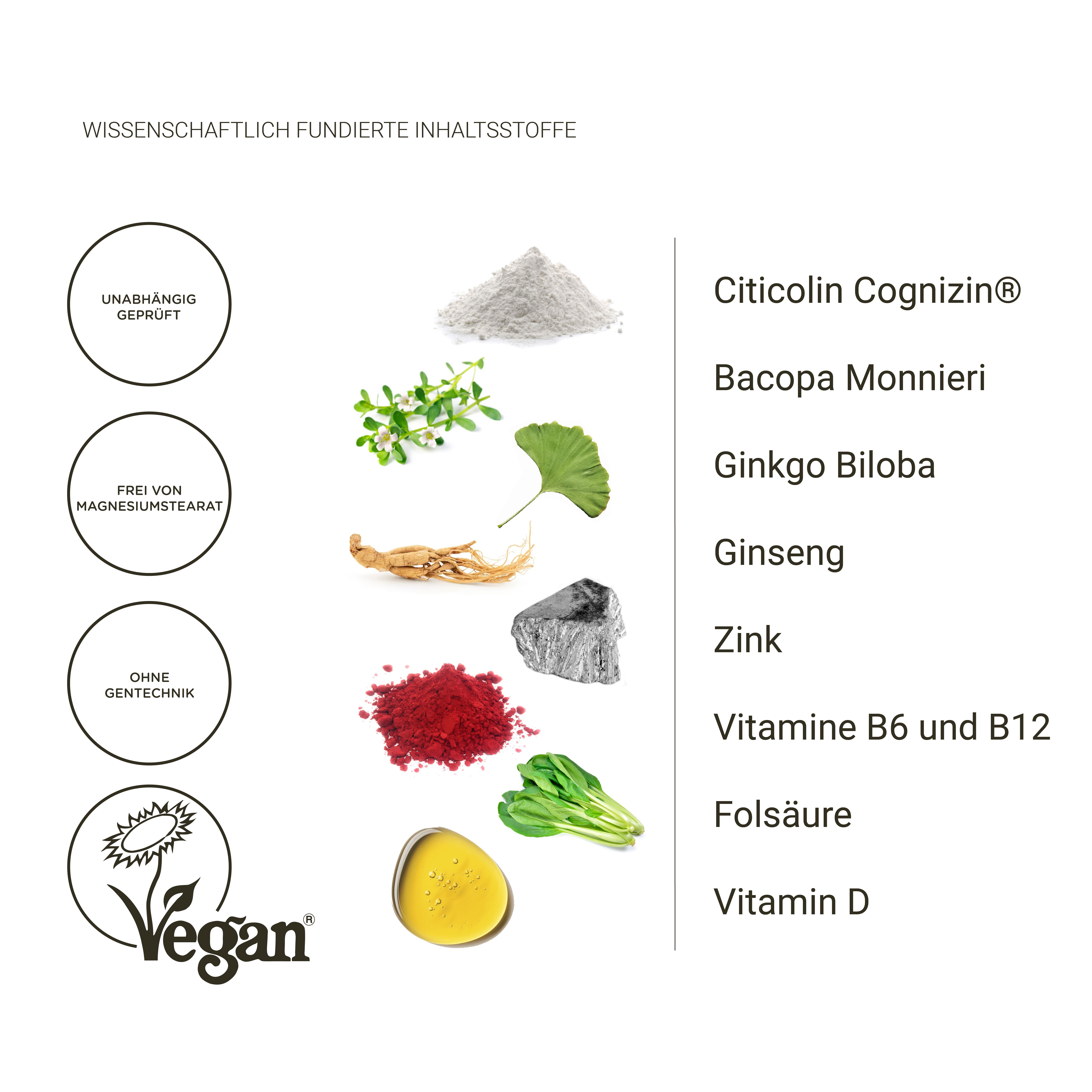 Grafico con ingredienti: Citicolina Cognizin, Bacopa Monnieri, Ginkgo Biloba, Ginseng, Zinco, Vitamine, Acido folico, Vitamina D. Vegano.