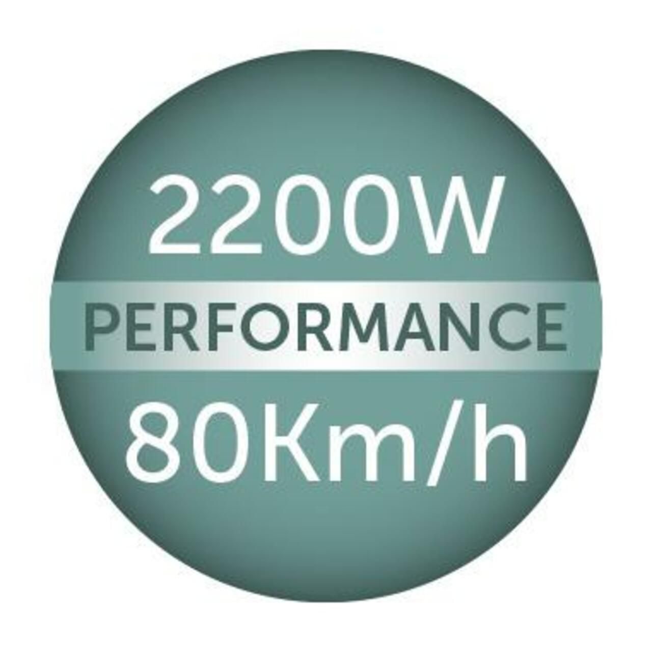 Grafica rotonda con specifiche: 2200W Performance, 80Km/h.