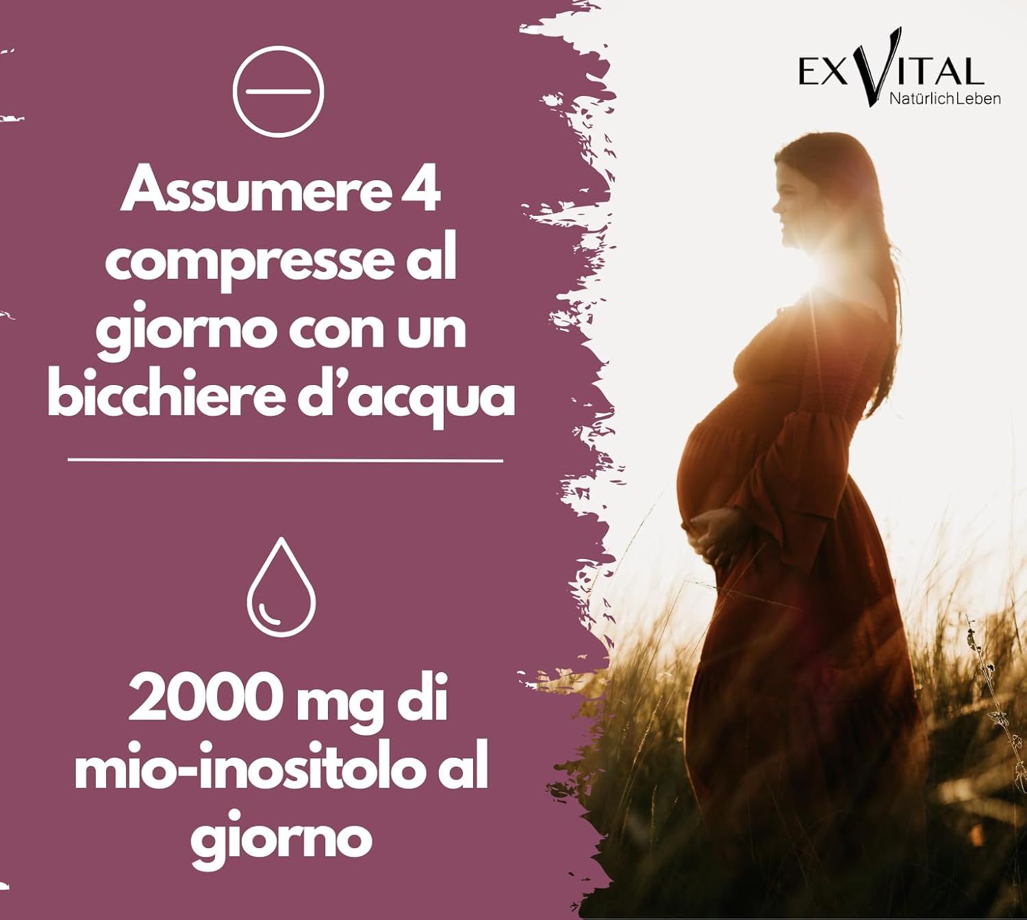 Flacone EXVital Inositolo + Acido Folico, 180 compresse. Primo piano dell'etichetta.