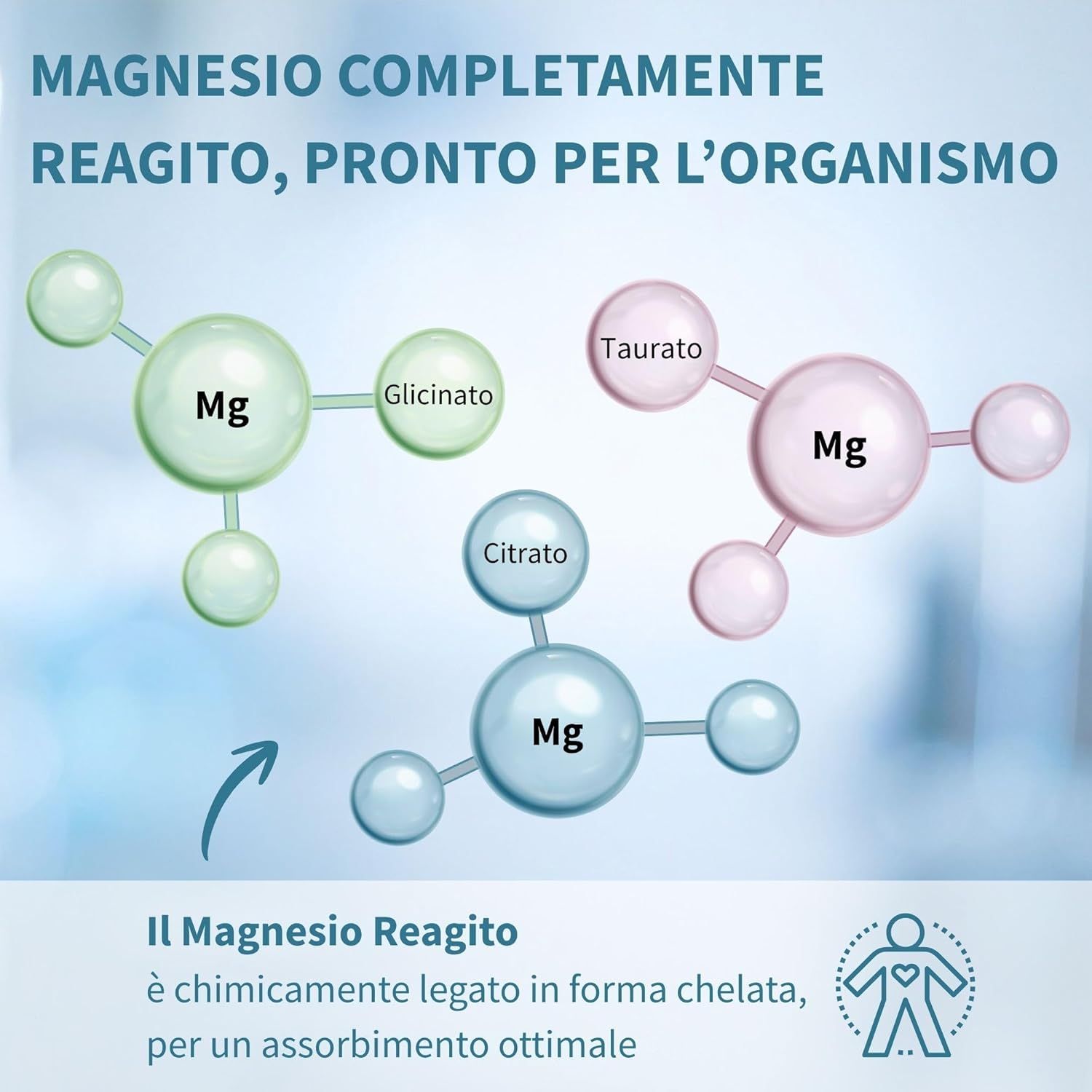 Igennus Magnesio Completo Triplo, Glicinato, Citrato e Taurato, Chelato, Vegano, Dose Ottimale
