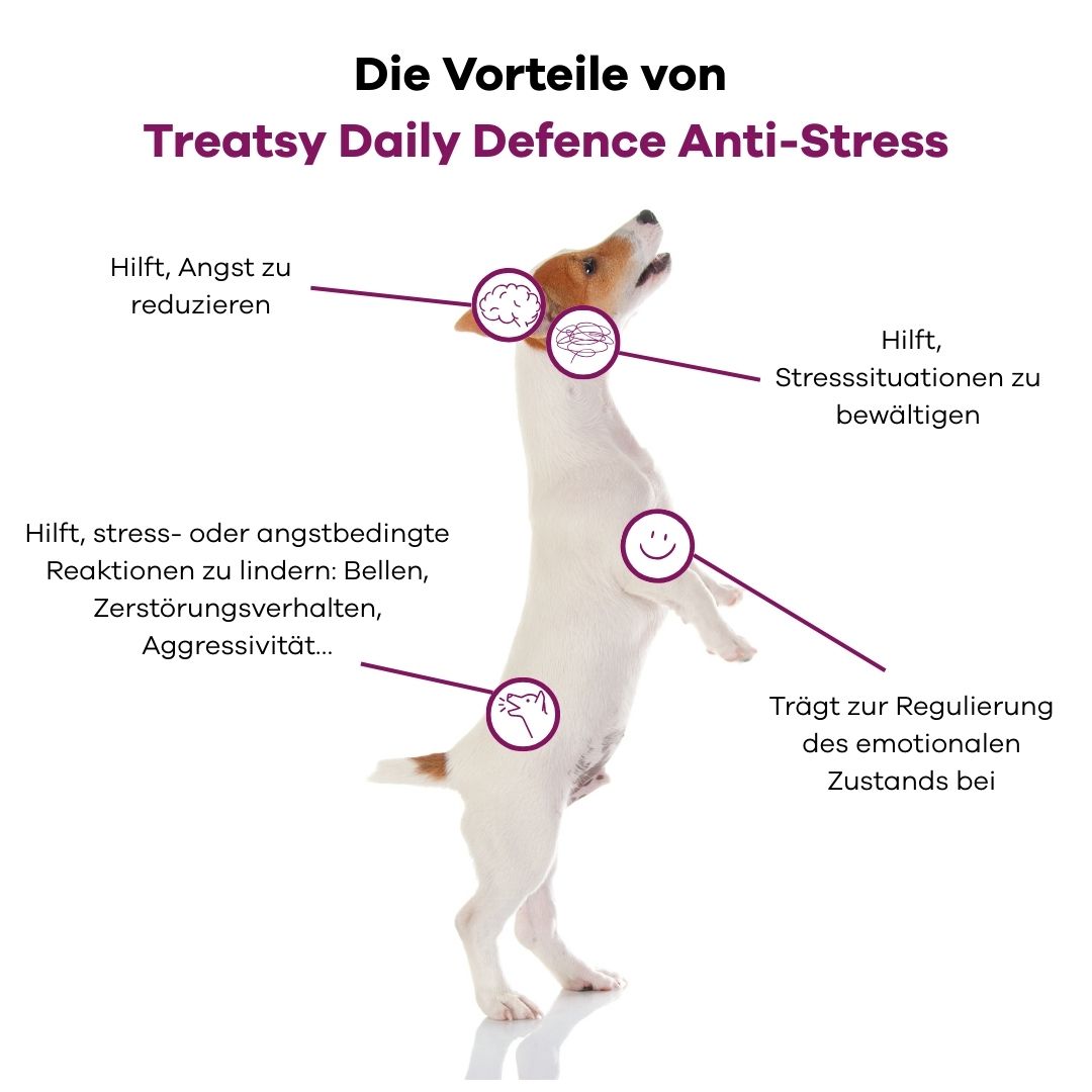 Grafica con cane sulle zampe posteriori. Testo che descrive i benefici dell'integratore anti-stress.