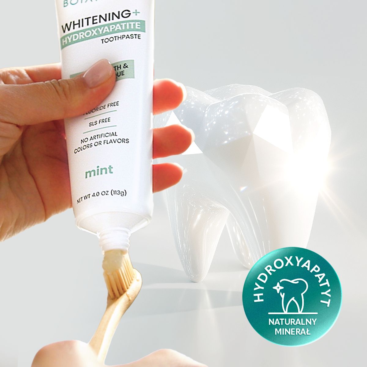 Dentifricio Himalaya Botanique Whitening applicato su uno spazzolino, accanto a un modello di dente.