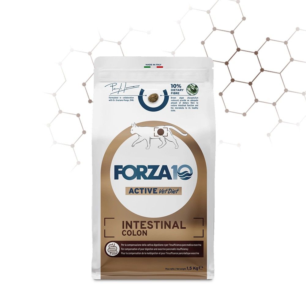 Forza 10 Intestinal colon Active gatto adulto