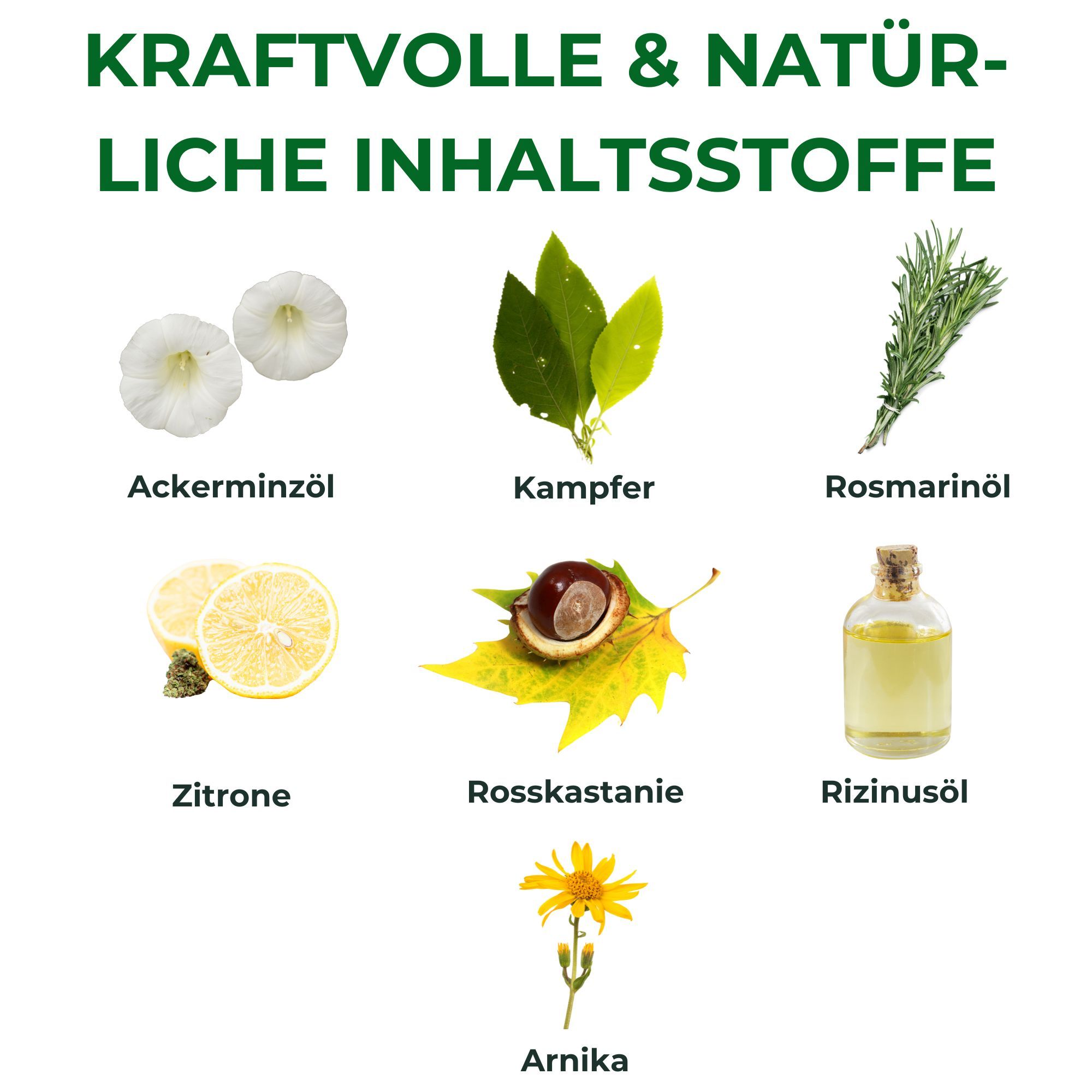 Kräuterhof® Balsamo per cavalli rinfrescante