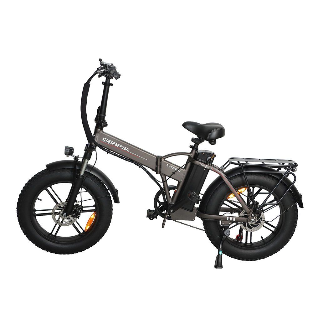 BAOLUJIE DZ2002 Bicicletta elettrica per adulti, batteria rimovibile da 48 V 16 Ah