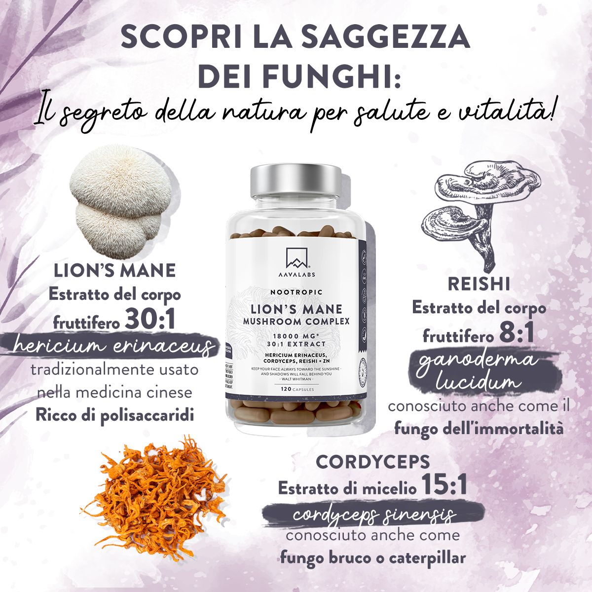 Illustrazioni di funghi e capsule. Contiene testo: Lion's Mane, Reishi, Cordyceps. Marchio: Aavalabs.