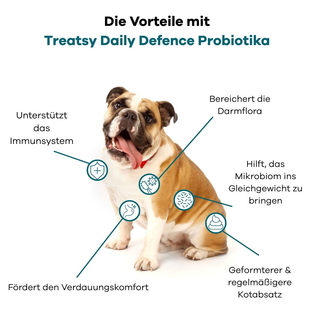 Un cane con frecce che mostrano i benefici dei probiotici: sistema immunitario, flora intestinale, microbioma, digestione.