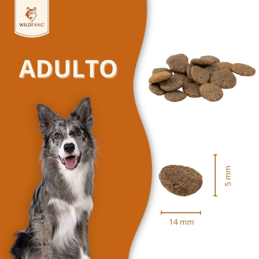 Crocchetta per cani, 14mm x 5mm. Testo: ADULTO. Cane accanto alle crocchette. Dimensioni indicate.