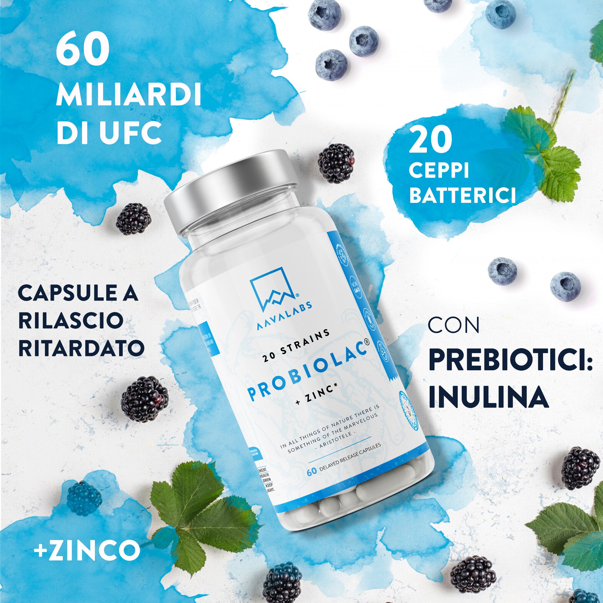 Flacone di Probiolac con capsule, circondato da more e mirtilli. Scritta: Probiolac + Zinco.