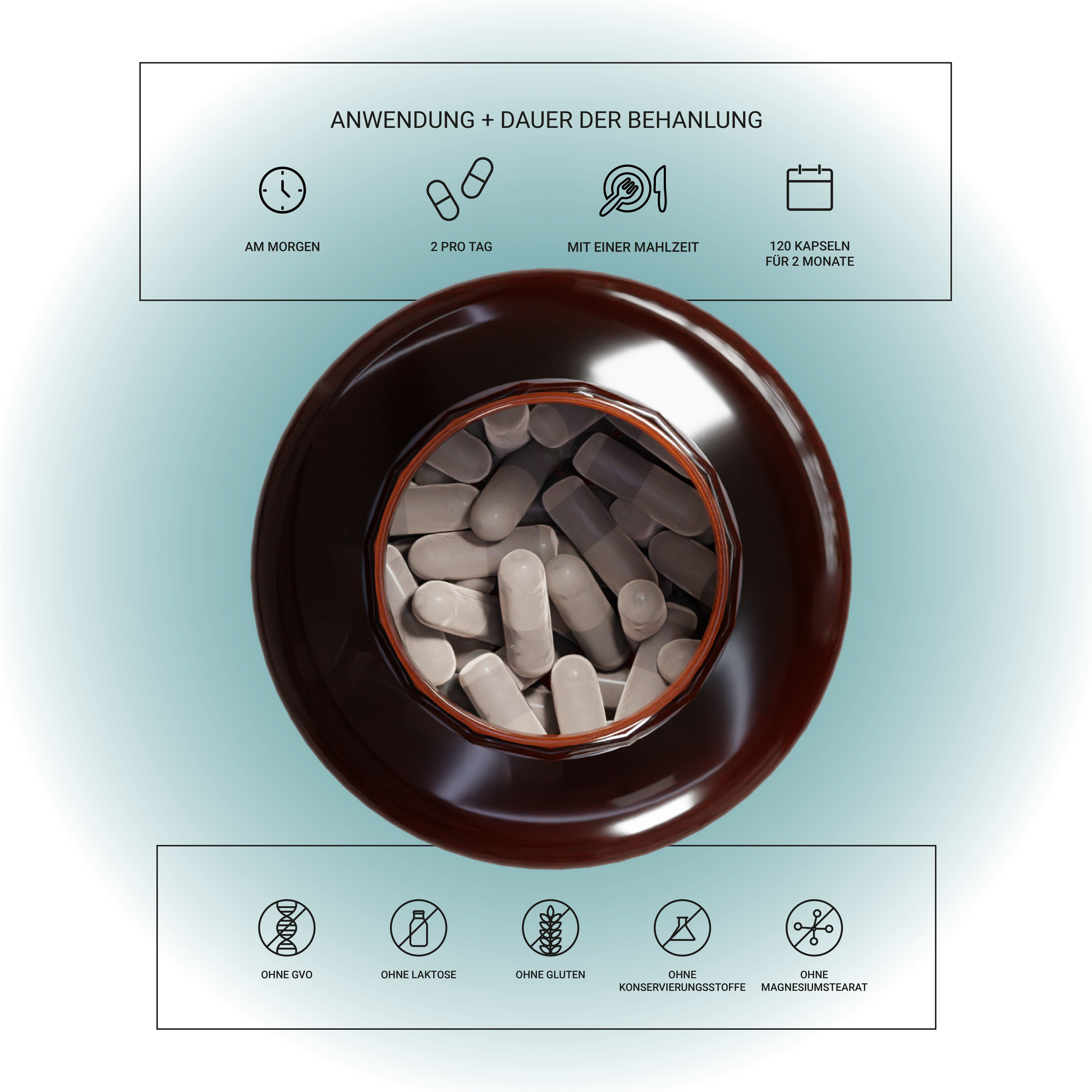 Vista dall'alto di un flacone marrone con capsule. Uso: Mattina, 2 al giorno, con un pasto. 120 capsule per 2 mesi. Senza additivi.