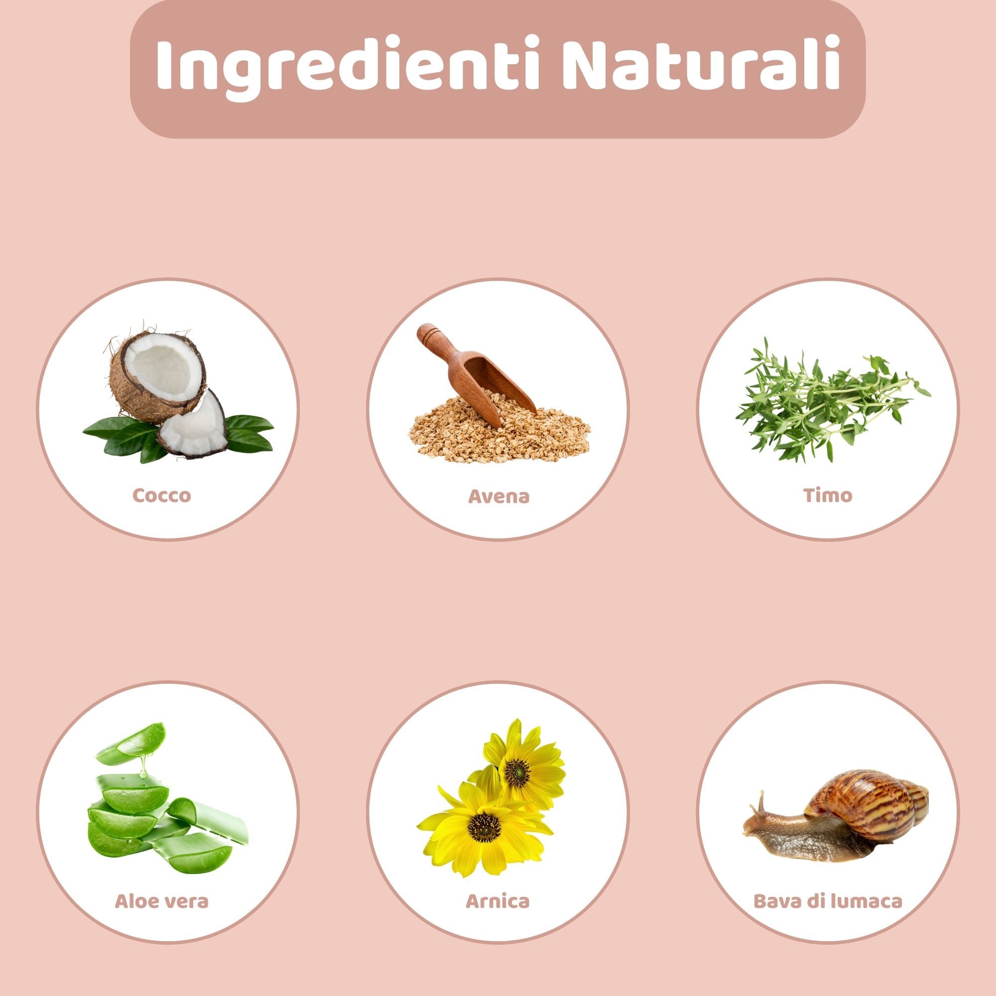 Immagini circolari di ingredienti: cocco, avena, timo, aloe vera, arnica, bava di lumaca.