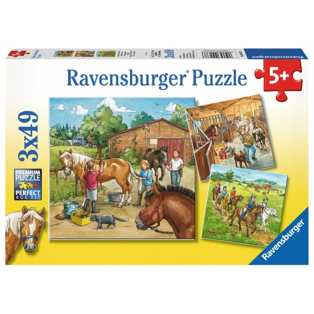 Pz. Mein Reiterhof 3x49T. Illustrazione di bambini che si prendono cura dei cavalli. Cavalli, stalla, cassetta degli attrezzi.