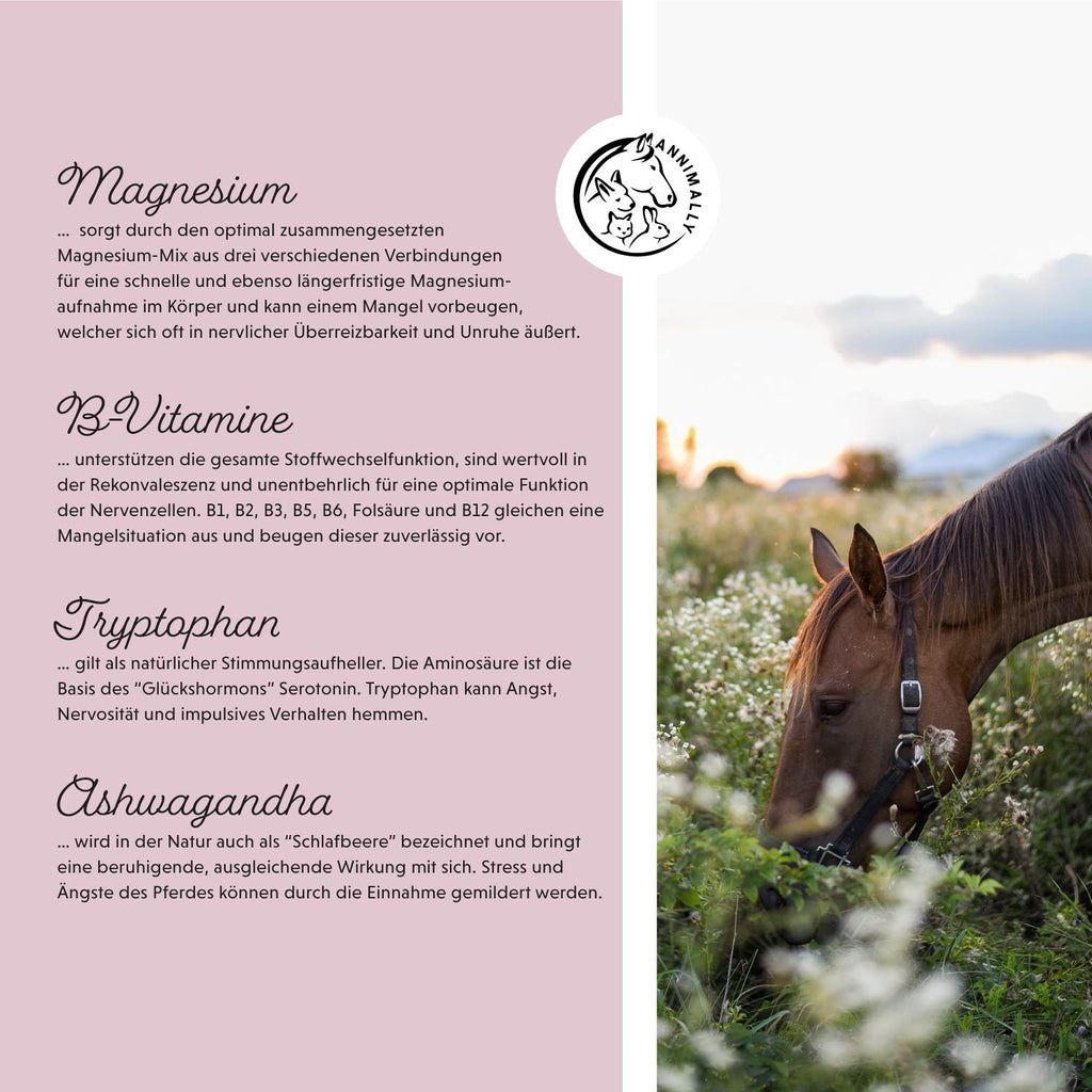 Testo con ingredienti: Magnesio, Vitamine B, Triptofano, Ashwagandha. Logo: cavallo e puledro. Cavallo in un prato.