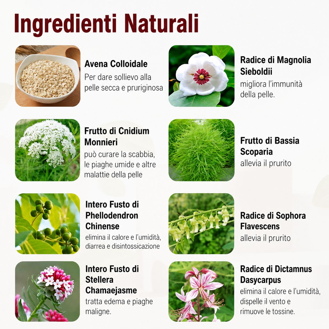 LMNOOP crema per follicolite per cuoio capelluto e corpo