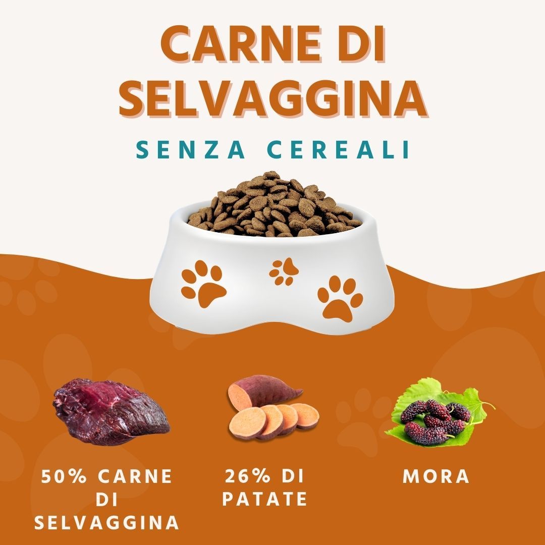 Ciotola di crocchette. Accanto, carne, patate dolci e more. Testo: Carne di Selvaggina.
