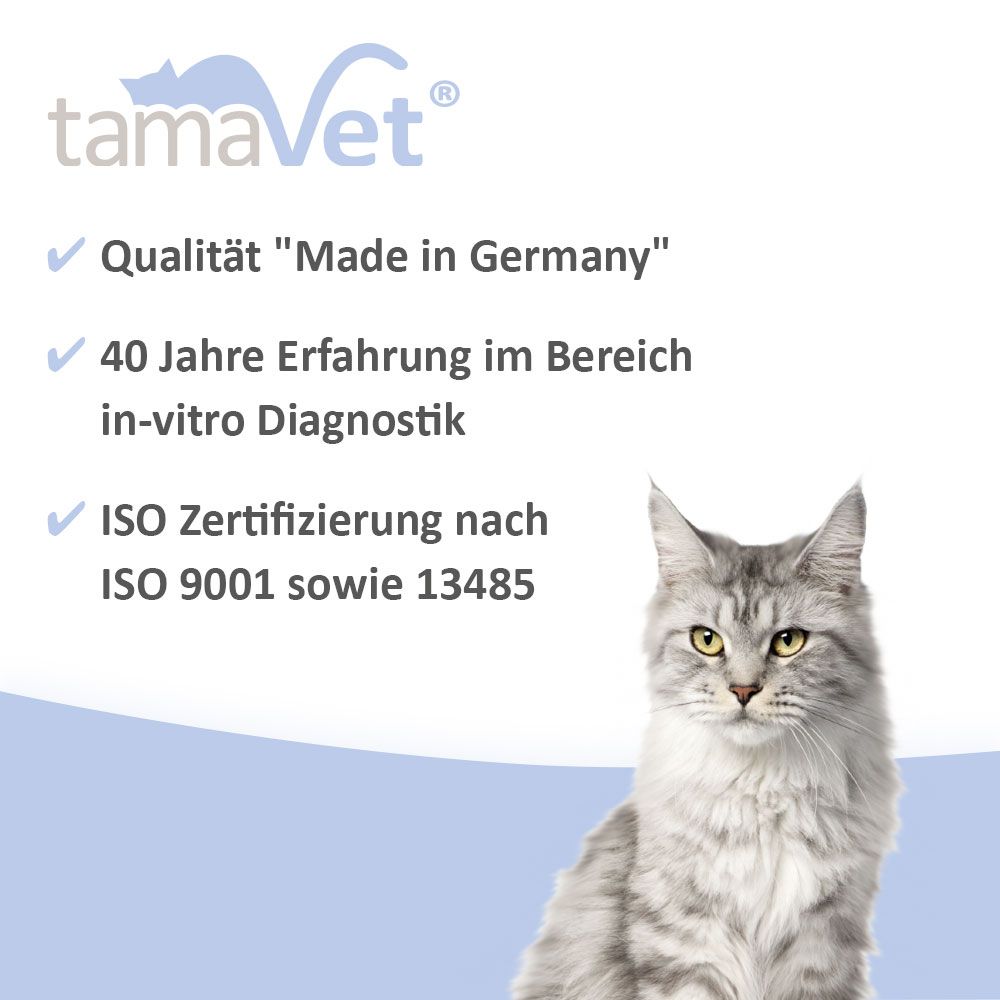 tamaVet test rapido per Giardia per cani e gatti