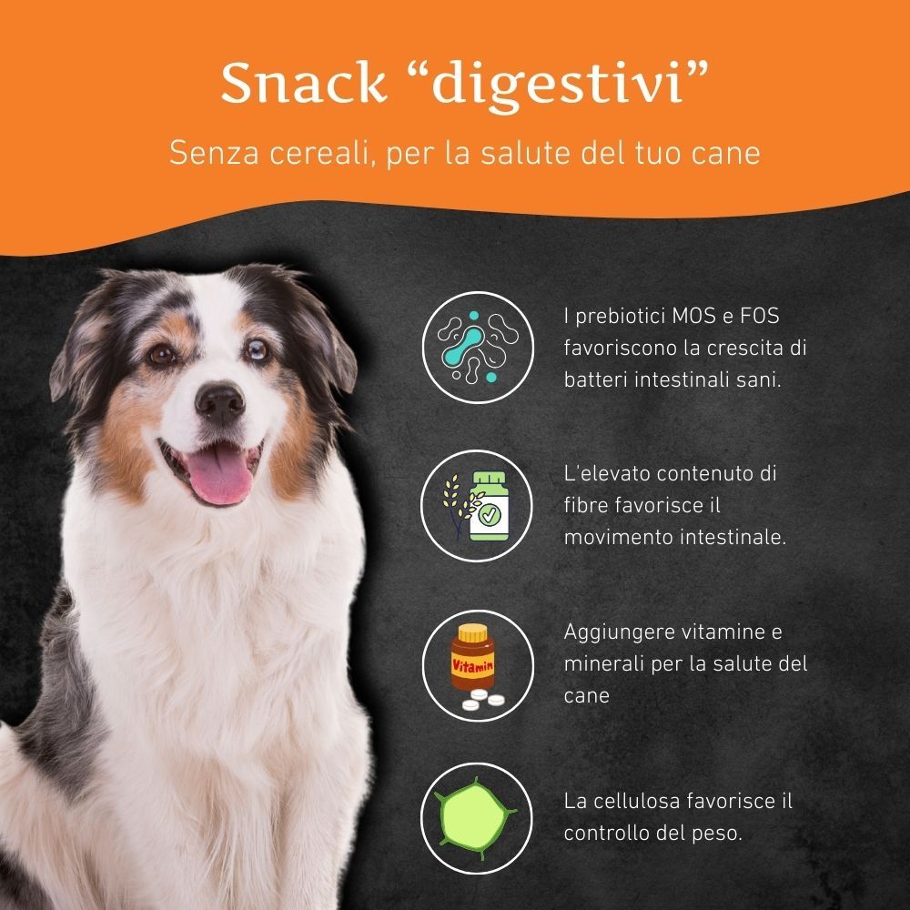 Cane con testo sugli snack digestivi. Contiene informazioni su prebiotici, fibre, vitamine e cellulosa.