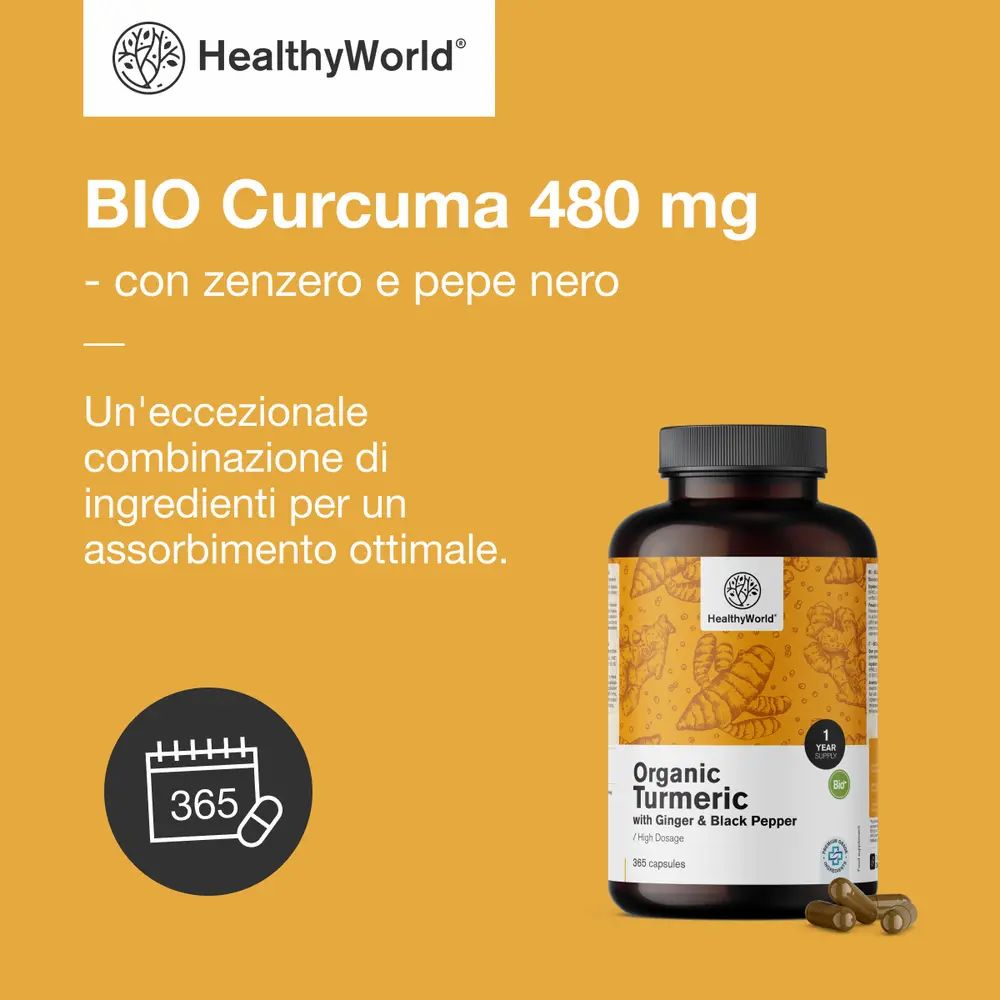 BIO Curcuma 480 mg con zenzero e pepe nero. Flacone di capsule. 365 capsule. Logo HealthyWorld.