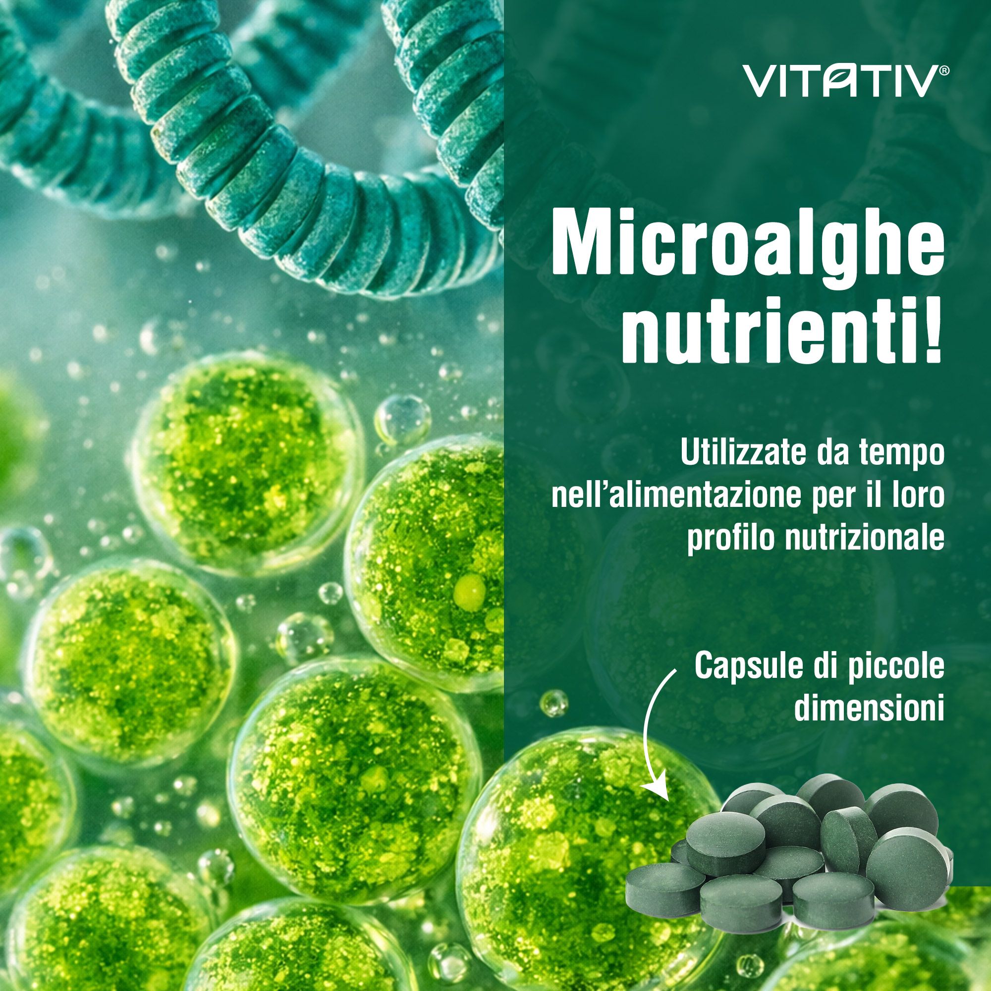 VITATIV® Alga Mix - Integratore a base di Spirulina e Chlorella - Compresse, Formula essenziale