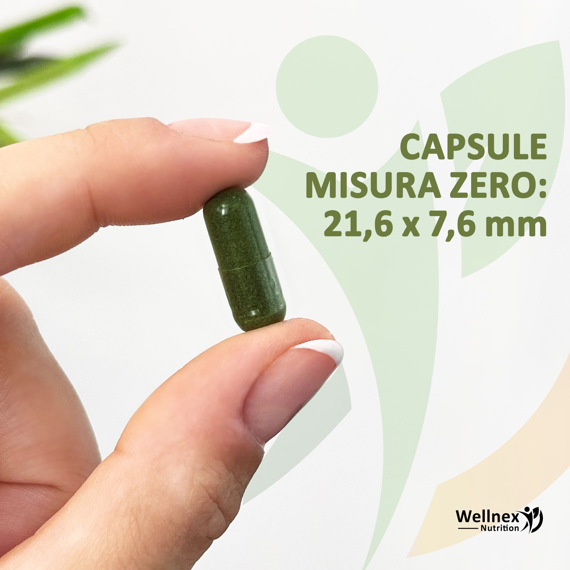 Wellnex Nutrition Spirulina 390 mg - 160 Capsule Vegetali