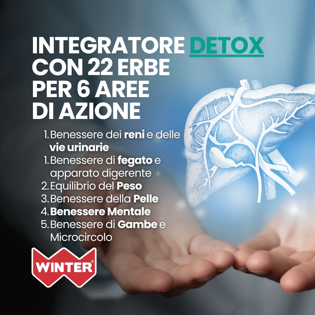 Illustrazione del fegato sopra le mani, logo Winter e testo "Integratore Detox".