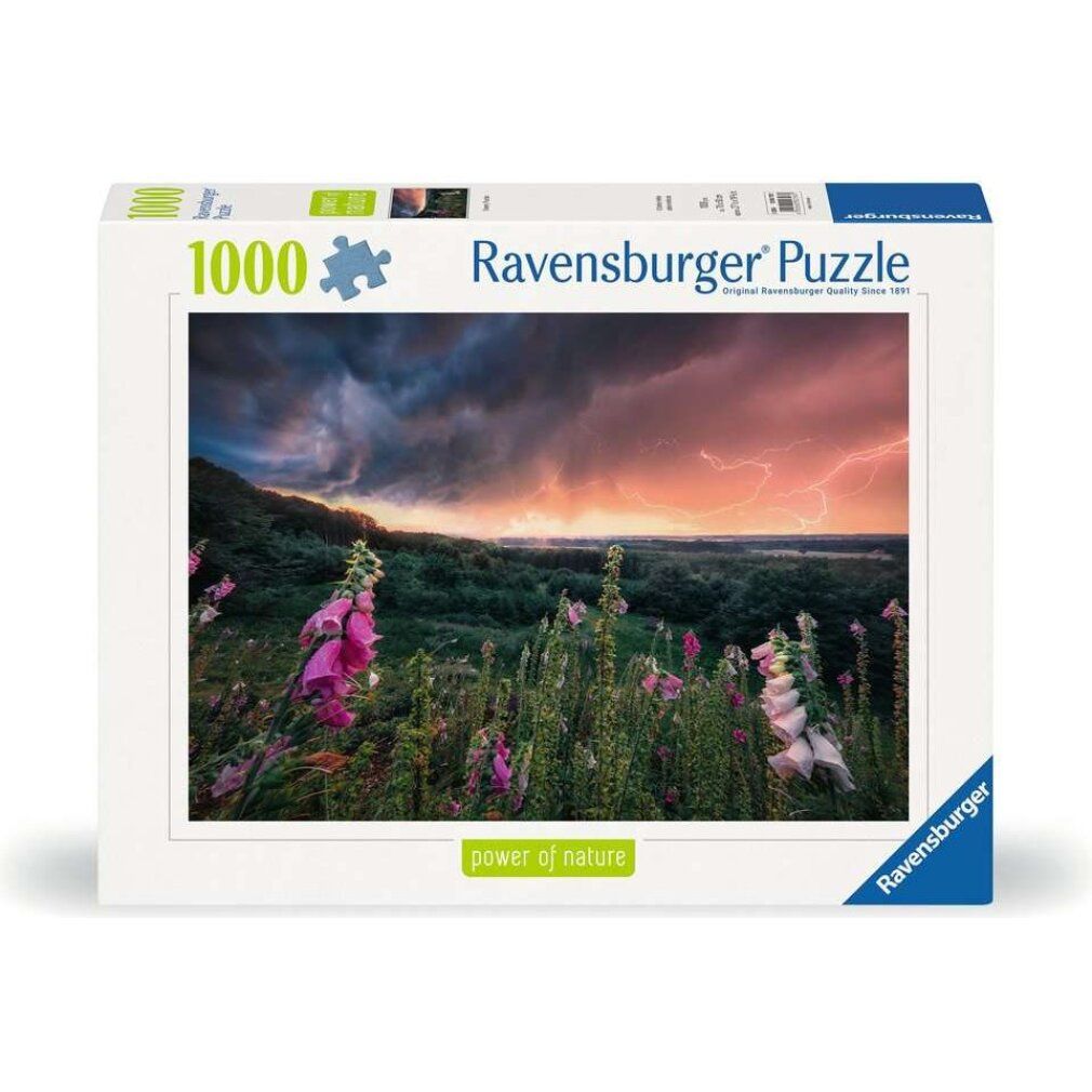 Power of Nature Puzzle a Storm Is Drawing (1000 parti)