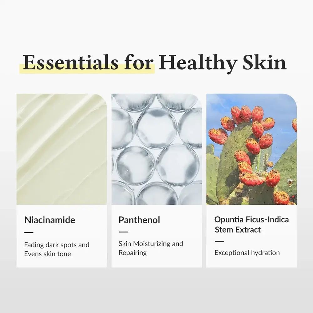 Tre illustrazioni di ingredienti: Niacinamide, Pantenolo e Opuntia Ficus-Indica Stem Extract, con descrizioni.