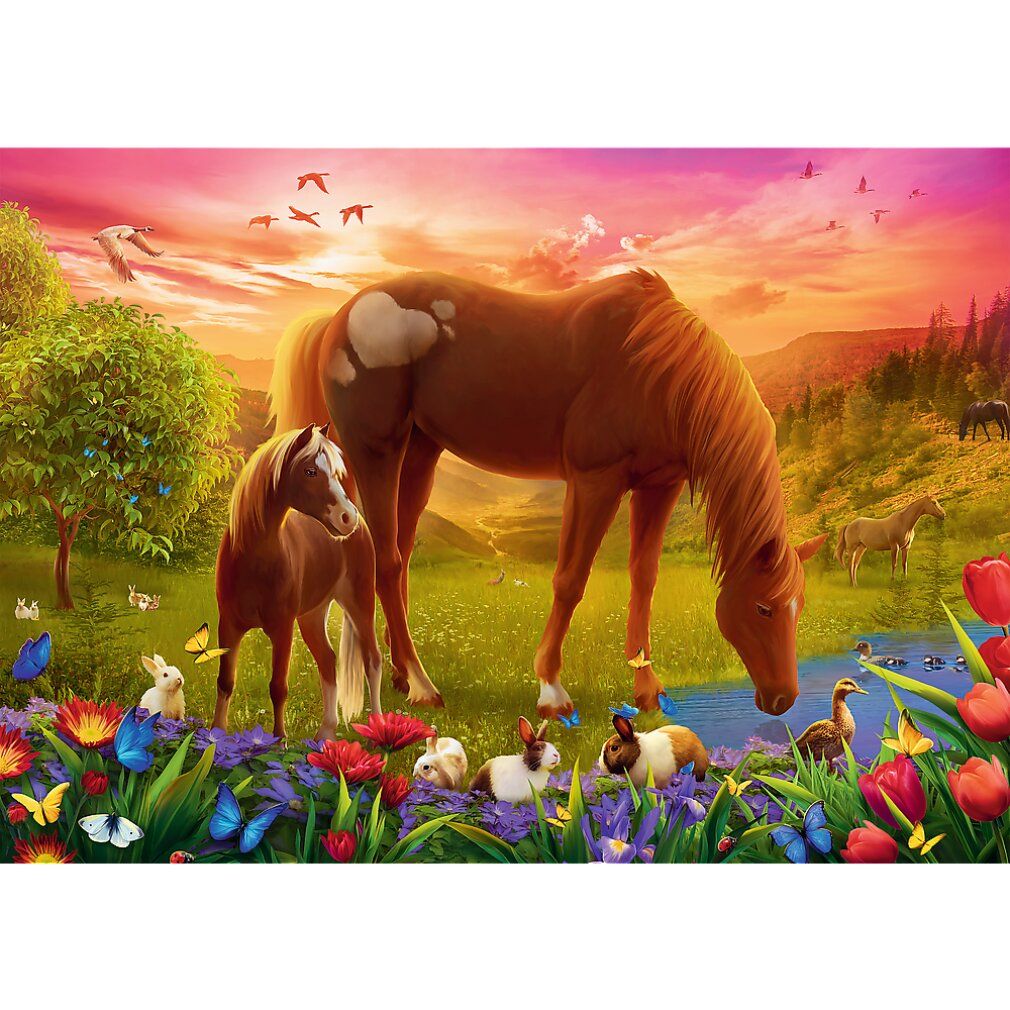 trefl Cavallo nel prato puzzle 500 pezzi