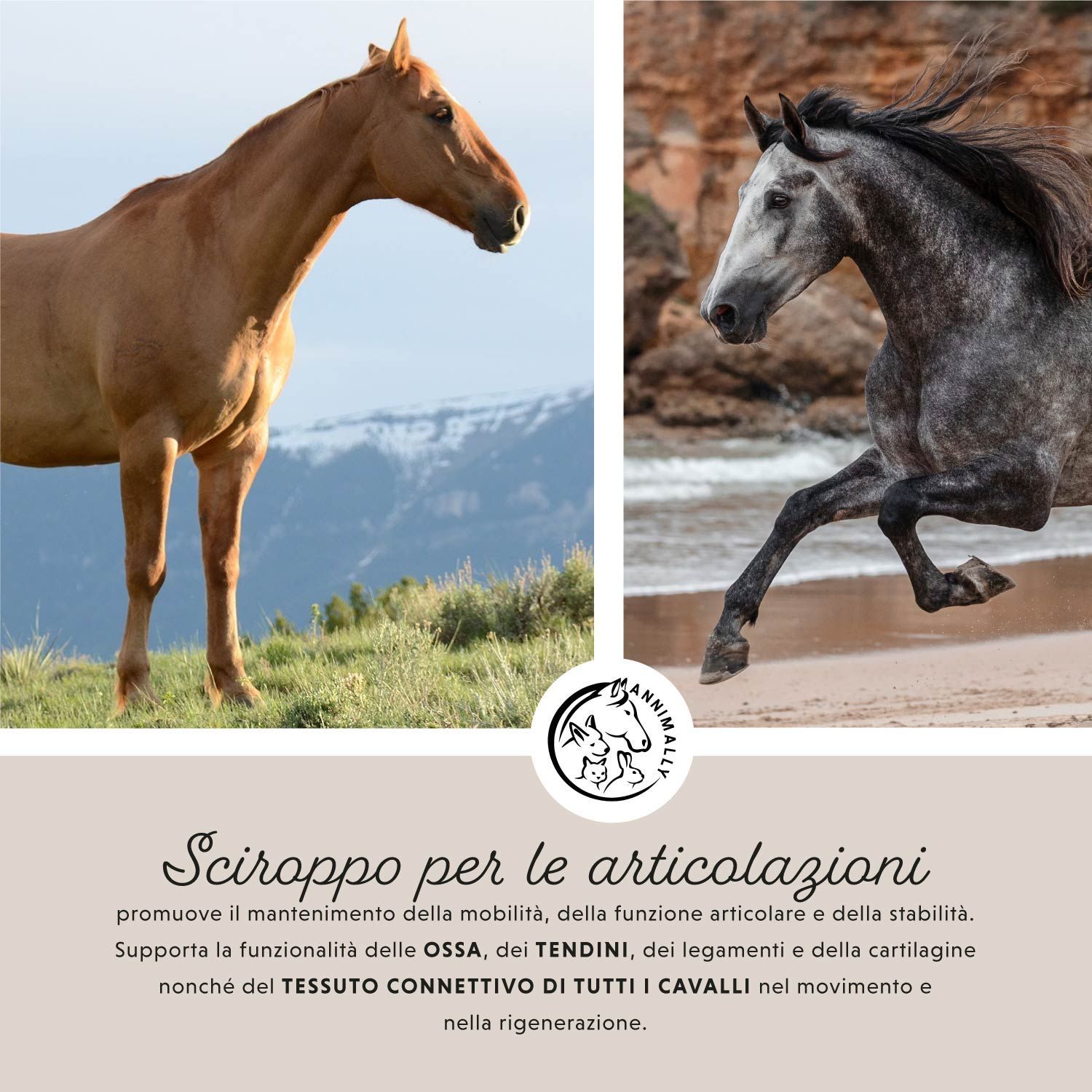 Due cavalli in un prato e un cavallo al galoppo. Testo: Sciroppo per le articolazioni.