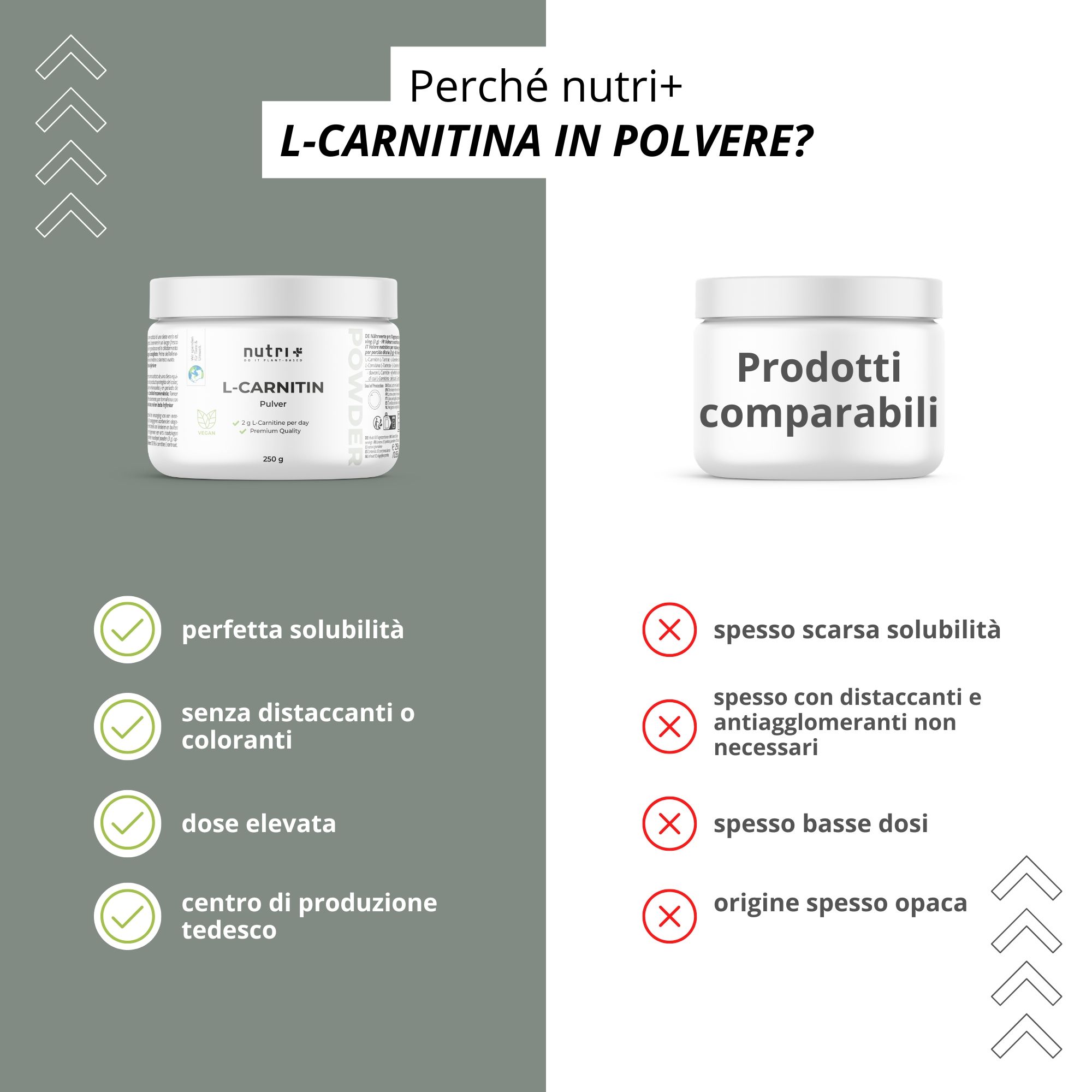 Polvere di L-Carnitina: 250g di contenuto, 3g al giorno, prima dell'allenamento, 100% vegan.