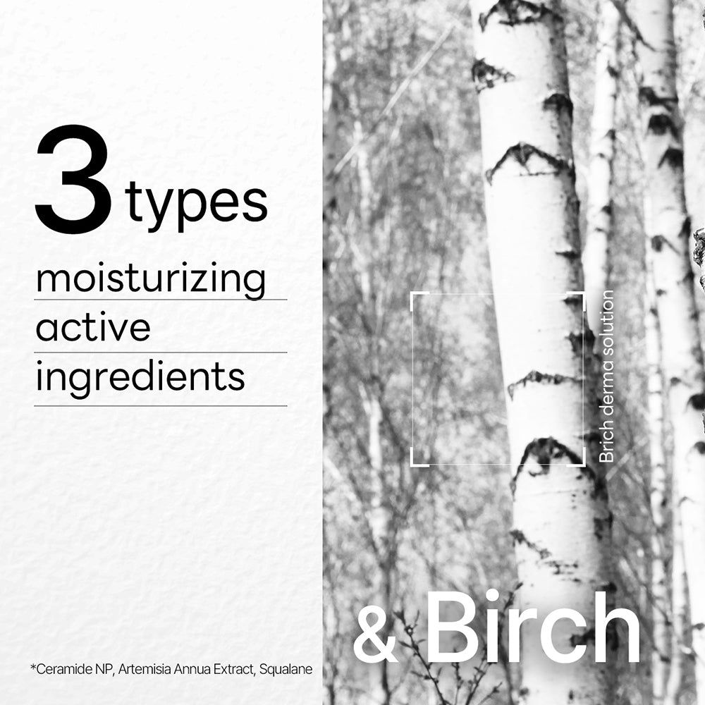 Testo: "3 types", "moisturizing active ingredients" e "& Birch". Sfondo: tronchi di betulla.