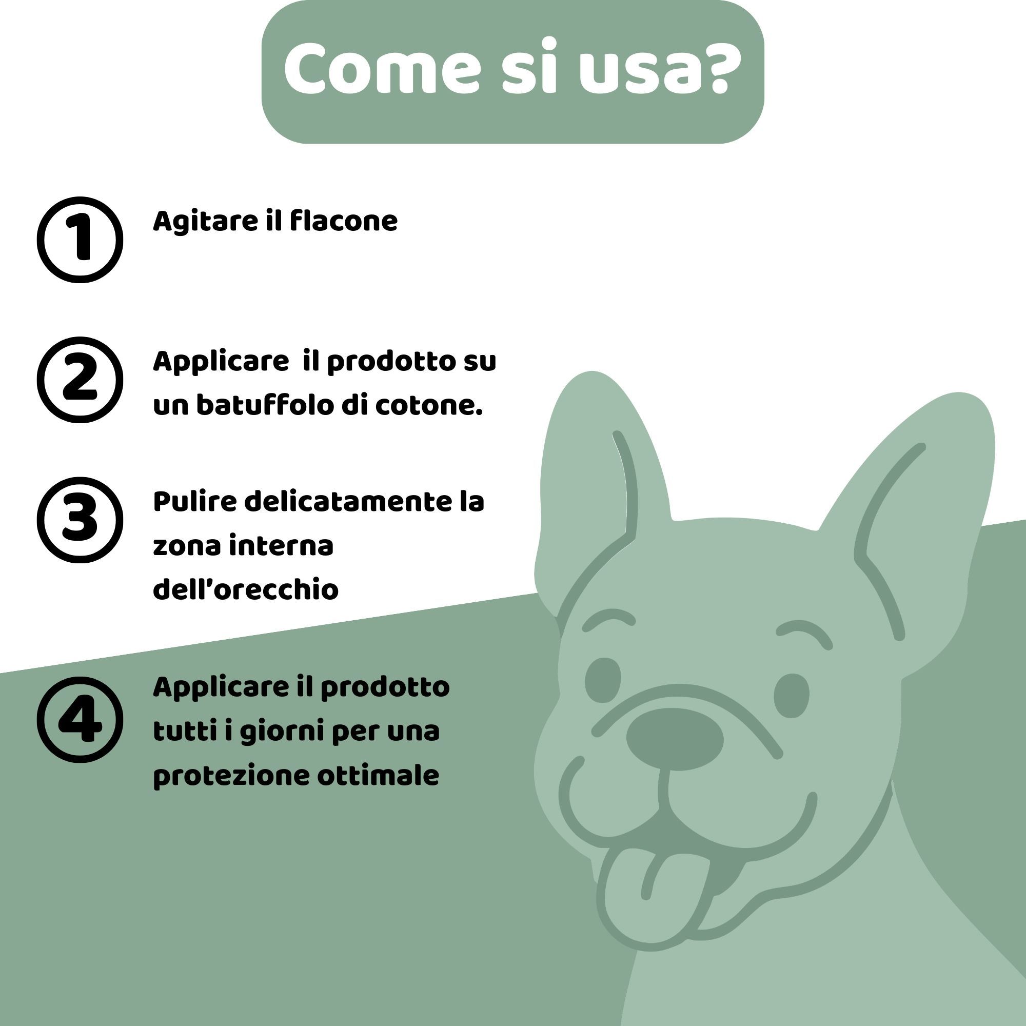 Illustrazione di un cane. Istruzioni in quattro passaggi: Agitare il flacone, applicare su cotone, pulire le orecchie, usare quotidianamente.