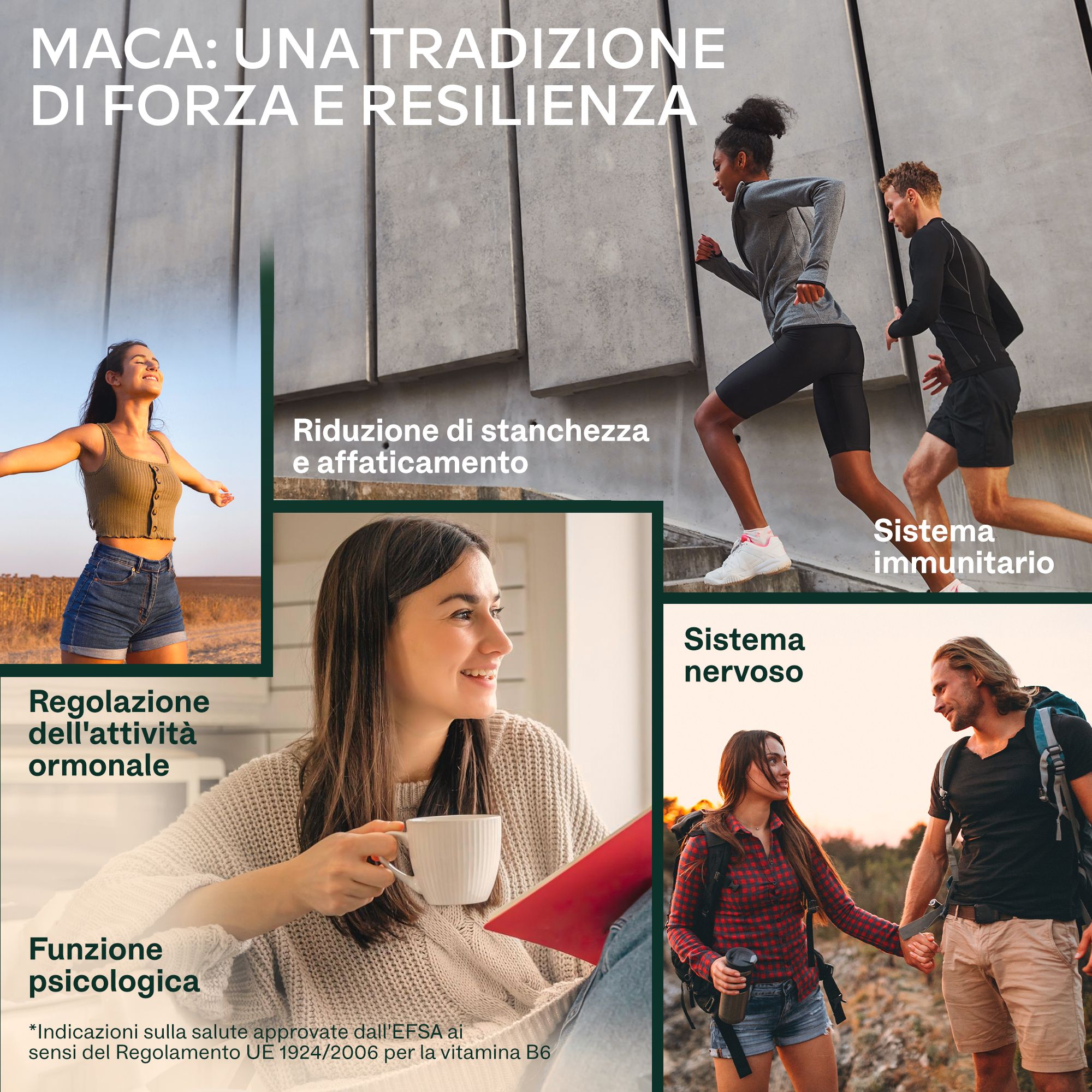 Flacone di capsule di Maca, testo italiano su nutrizione ed etichette.