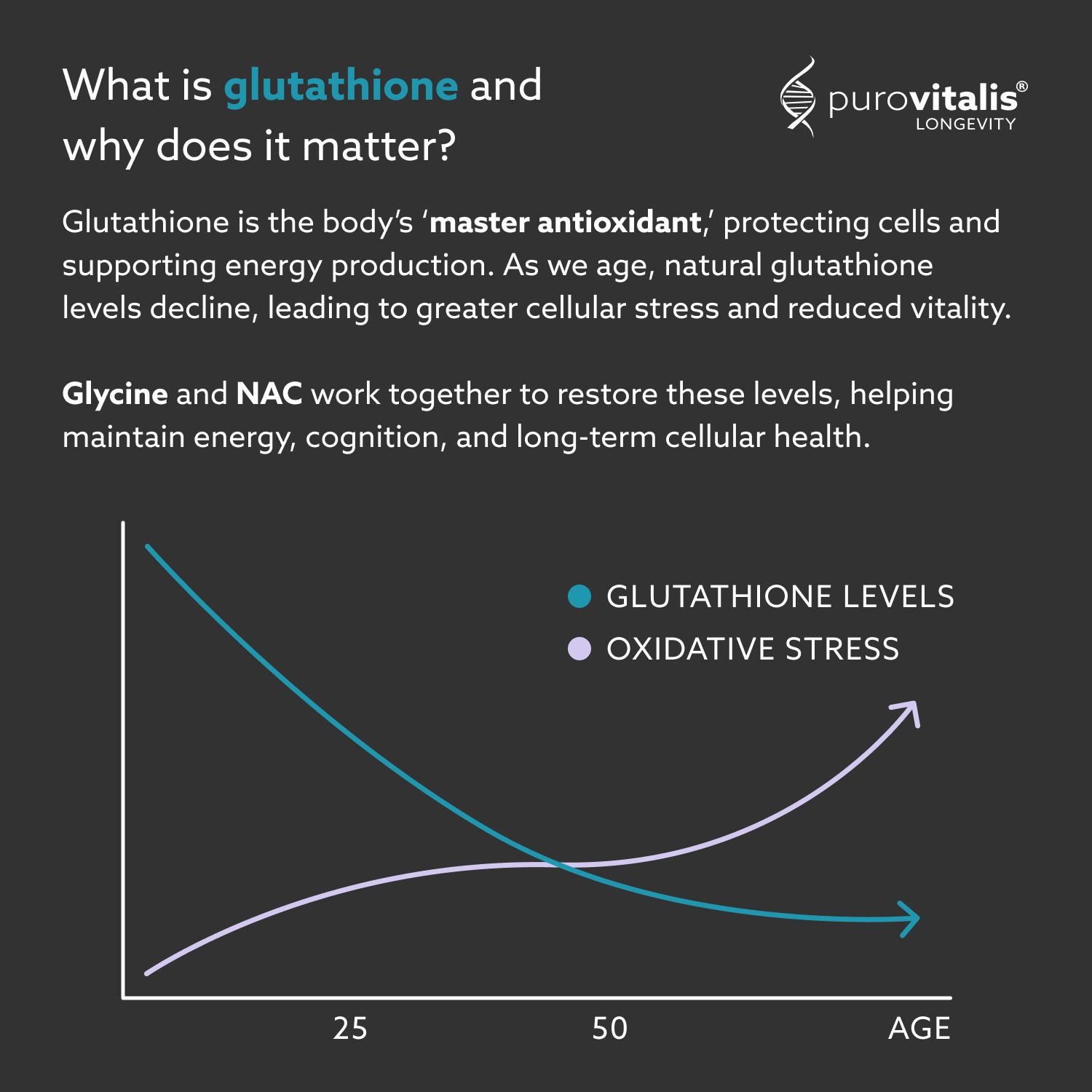 Grafico: livelli di glutatione e stress ossidativo con l'età. Testo: Cos'è il glutatione e perché è importante?