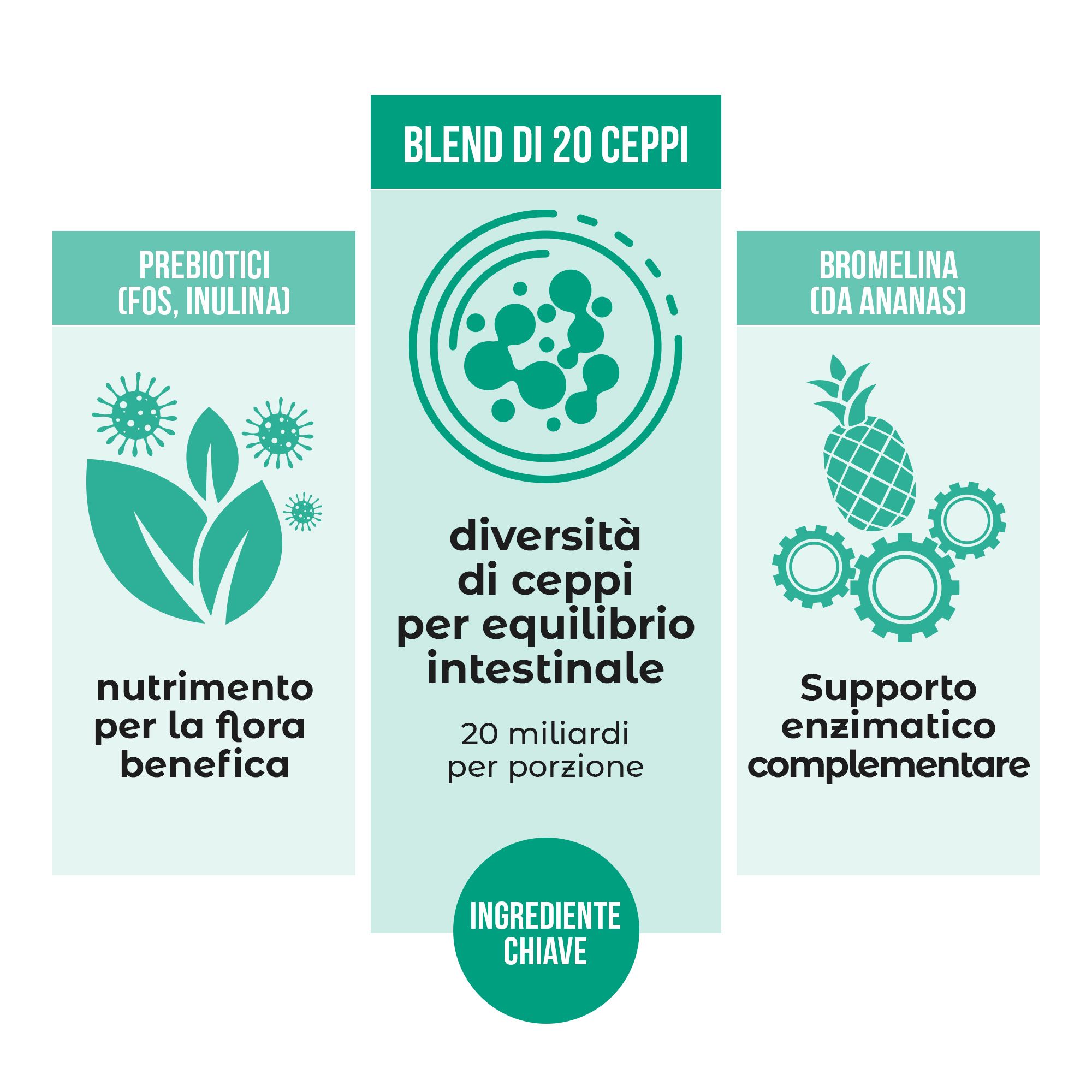 Green Biotic – Integratore Probiotico con 20 Ceppi, Prebiotici, Enzimi Digestivi e Vitami
