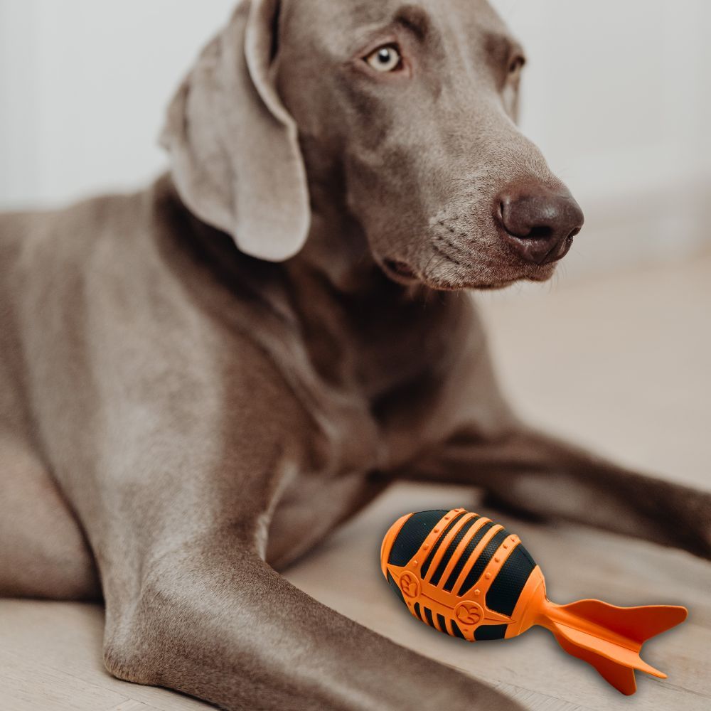 Wildfang Flying Rocket "Rocket" - 100% gomma naturale