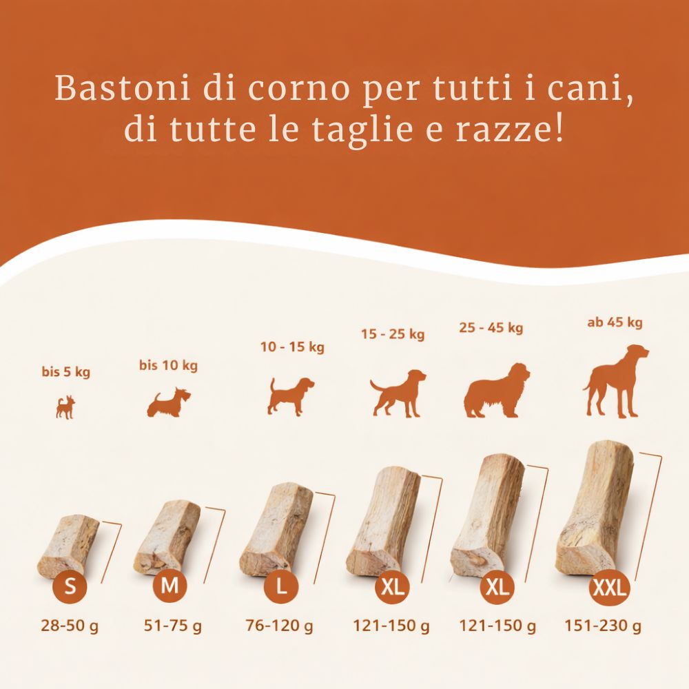 Diverse dimensioni di corno di cervo da masticare. Taglie S a XXL. Illustrazioni di cani mostrano la taglia appropriata. Testo: « Rothirschgeweih ».