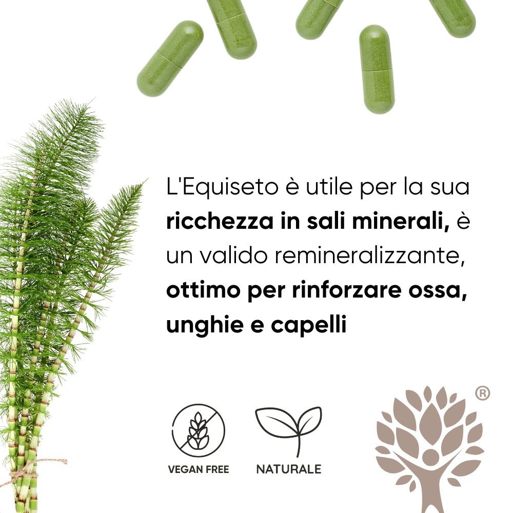 Capsule verdi e pianta di Equiseto. Testo: Vegan Free, Ingredienti naturali. Testo su Equiseto: ricco di sali minerali, buono per ossa, unghie e capelli.