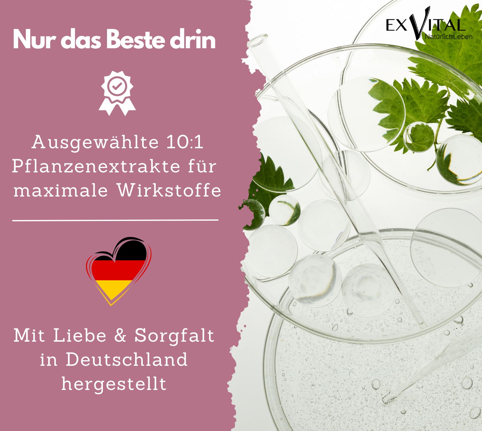 Piastre di Petri con liquido e foglie. Testo: Estratti vegetali 10:1 per massimi principi attivi. Prodotto in Germania.