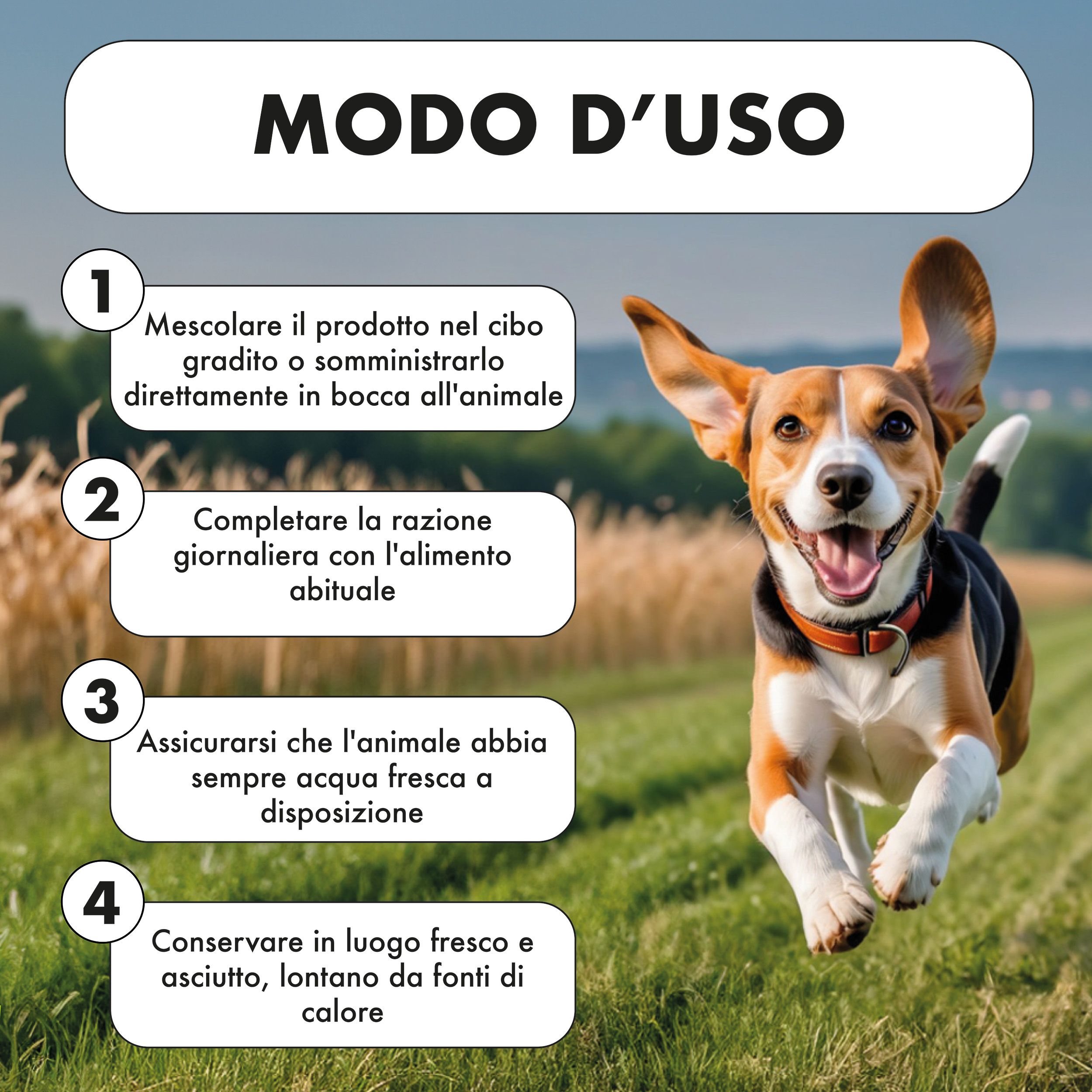 Modo d'uso di VIGORBEN. 4 passaggi: mescolare con il cibo, somministrazione diretta, acqua fresca, conservare al fresco.