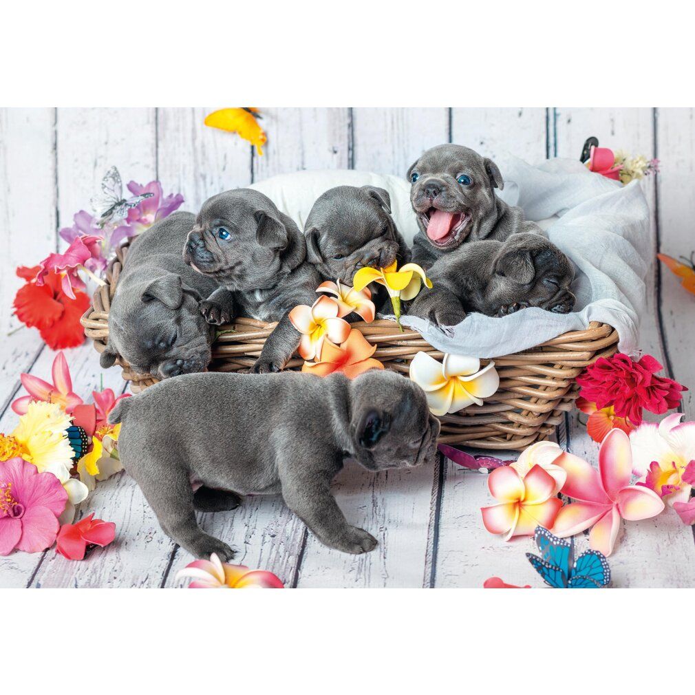 Cuccioli in un cesto, circondati da fiori. Alcuni dormono, uno sbadiglia. Sfondo: assi di legno.